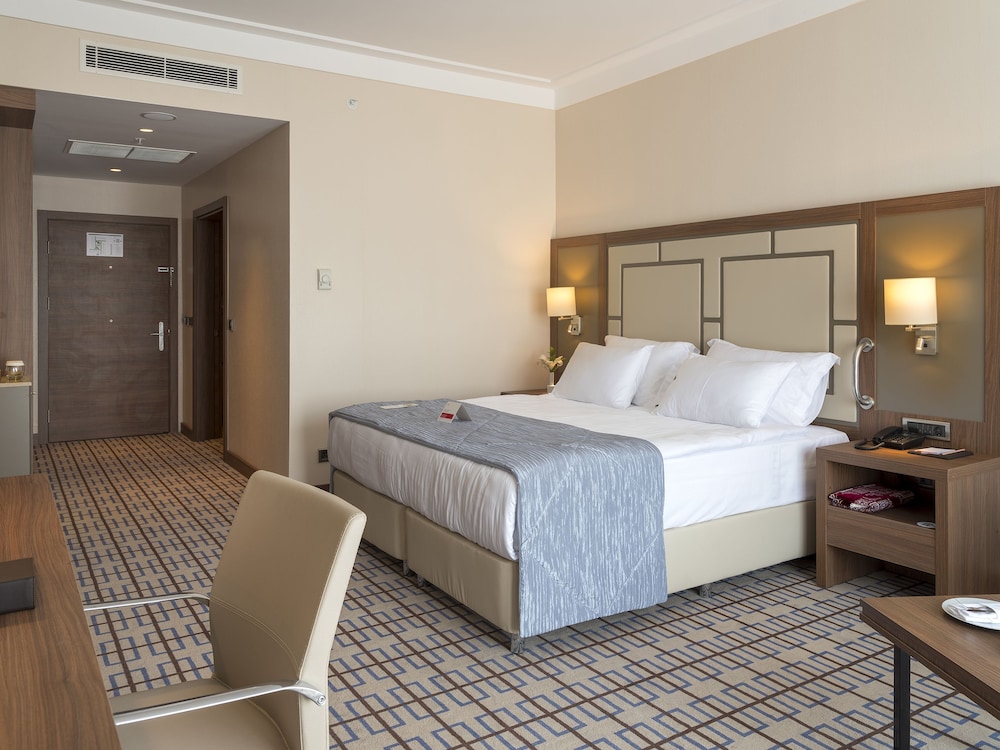 Room, 1 King Bed, Mobility Accessible photo 3