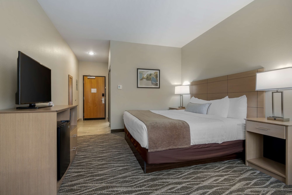 Standard Room, 1 King Bed, Refrigerator & Microwave - Photo 1