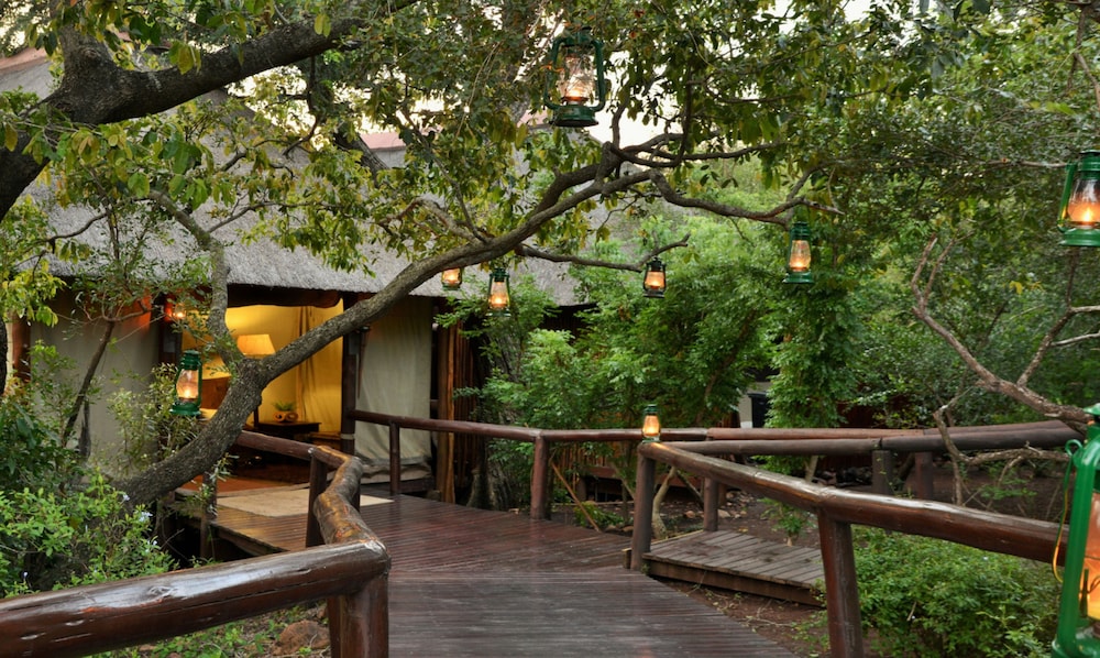Camp Shonga photo 2