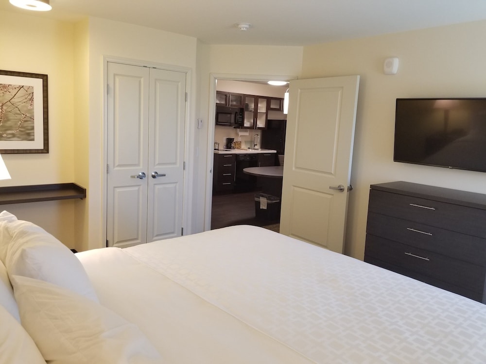 Suite, 1 Bedroom (Pet Friendly) photo 3