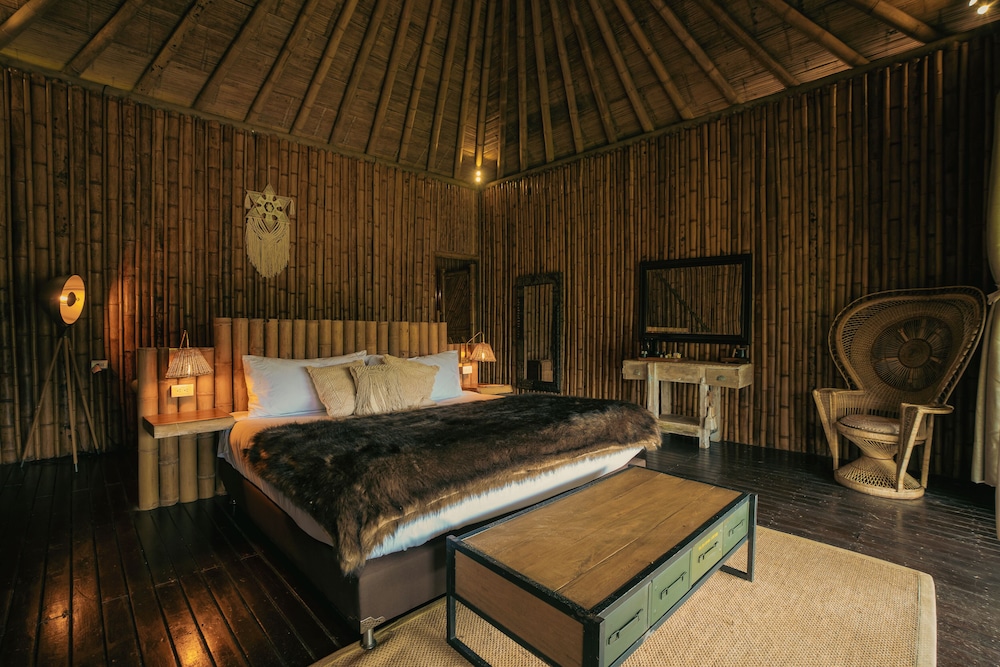 Bamboo Palace Banana - Photo 2