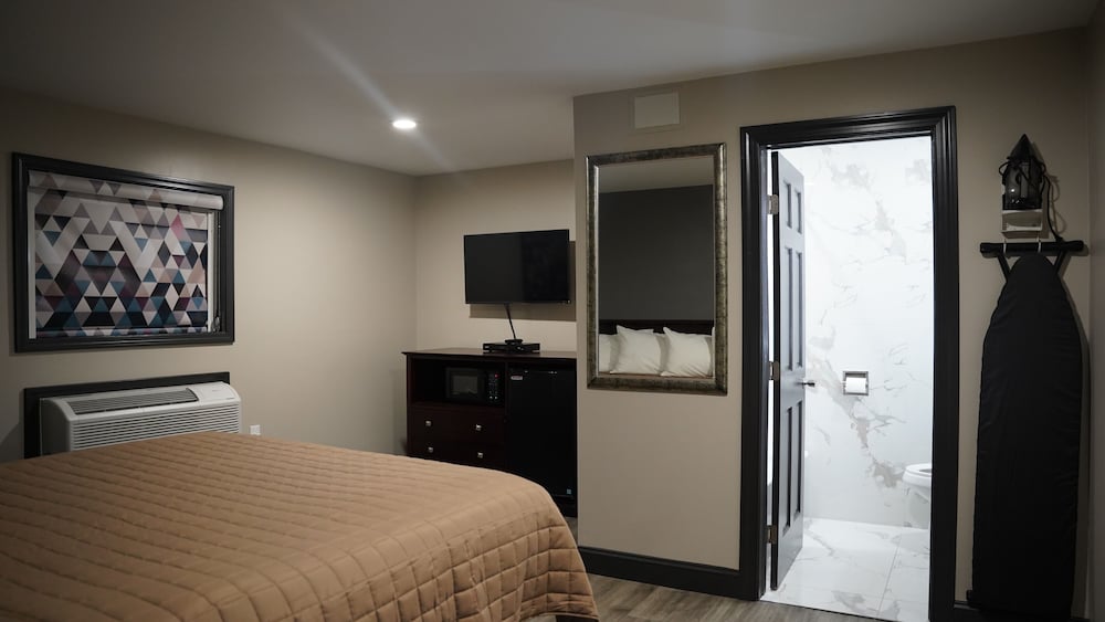 Single Room, 1 King Bed, Non Smoking photo 3