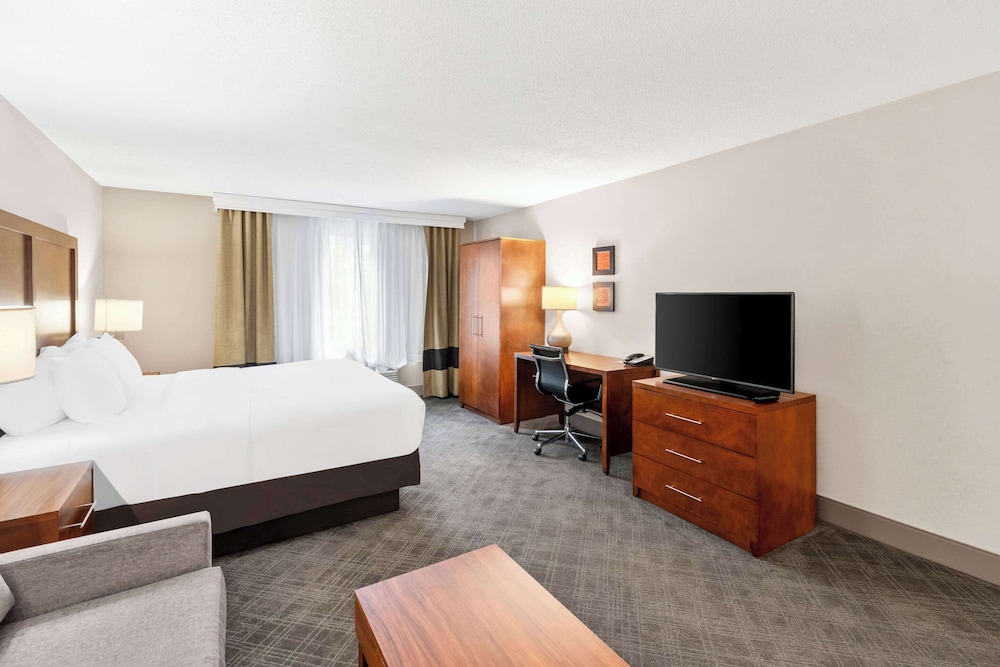 Suite, 1 King Bed, Non Smoking photo 3