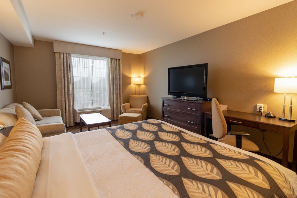 King Suite photo 1