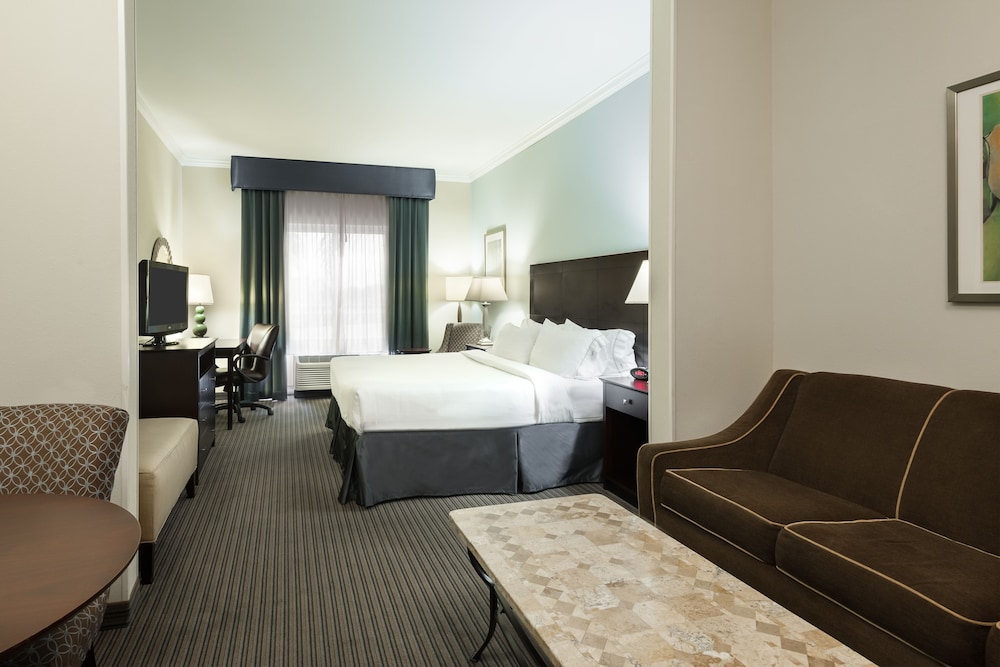 Suite, 1 King Bed with Sofa bed - Photo 1