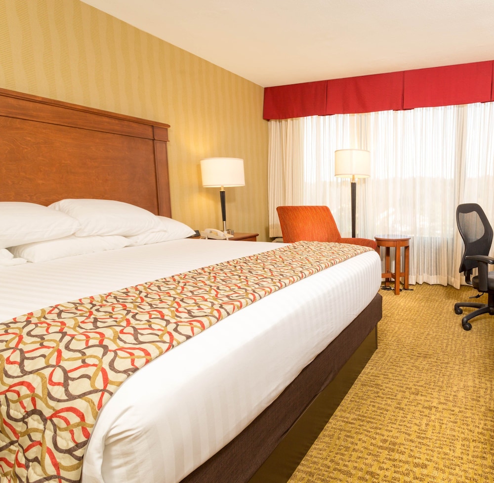 Suite, 1 King Bed, Refrigerator & Microwave (Oversized Room, Upper Floor) photo 2