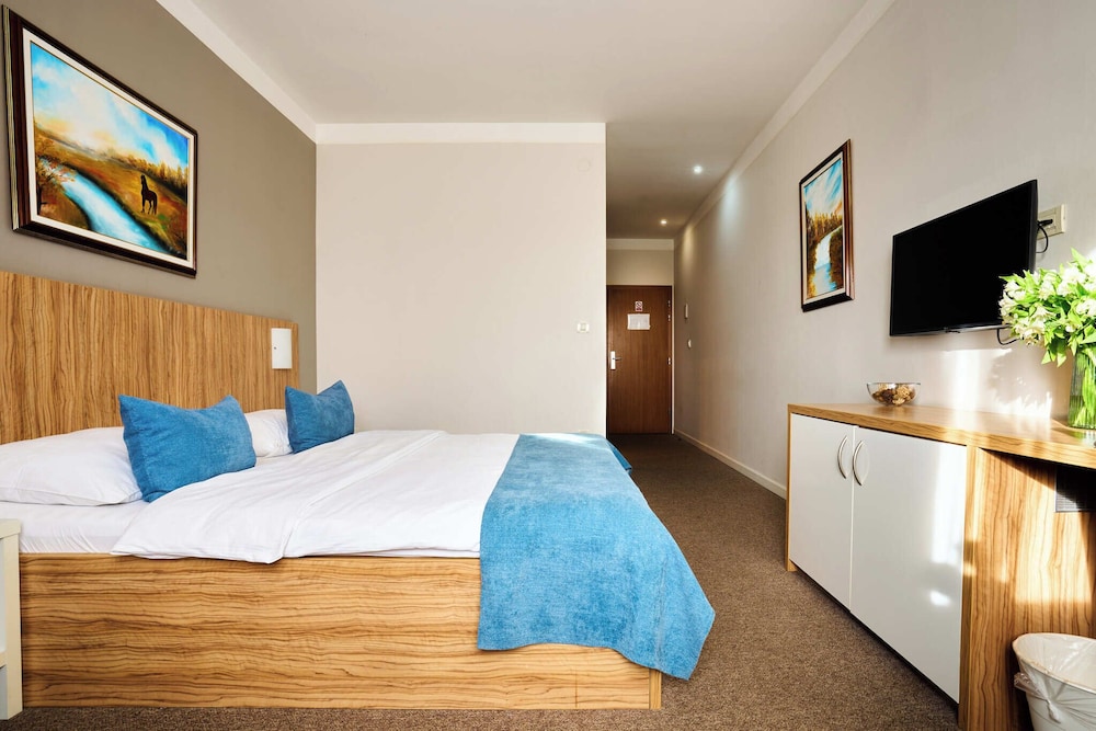 Deluxe Double Room, 1 King Bed, Non Smoking, Jetted Tub photo 3