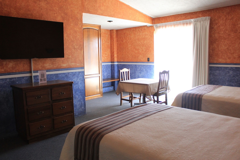 Junior Studio Suite photo 3