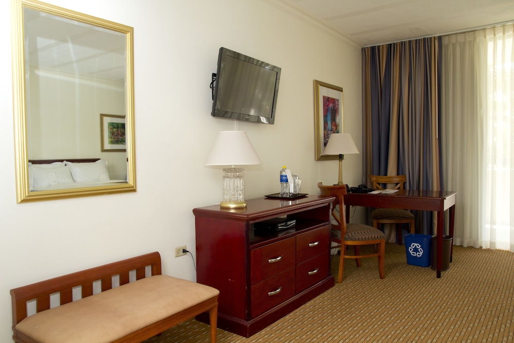 Deluxe Room, 1 King Bed, Balcony - Photo 5