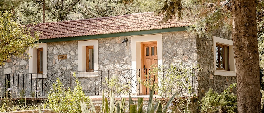 Suite (White) photo 2
