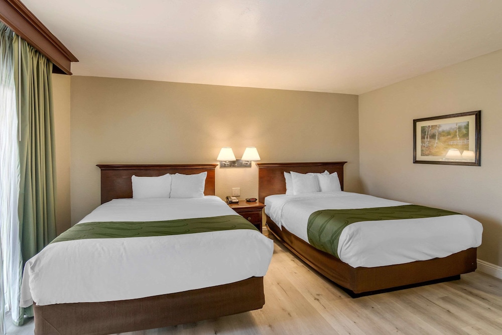 Suite, 2 Queen Beds, Non Smoking ( Efficiency) - Photo 6