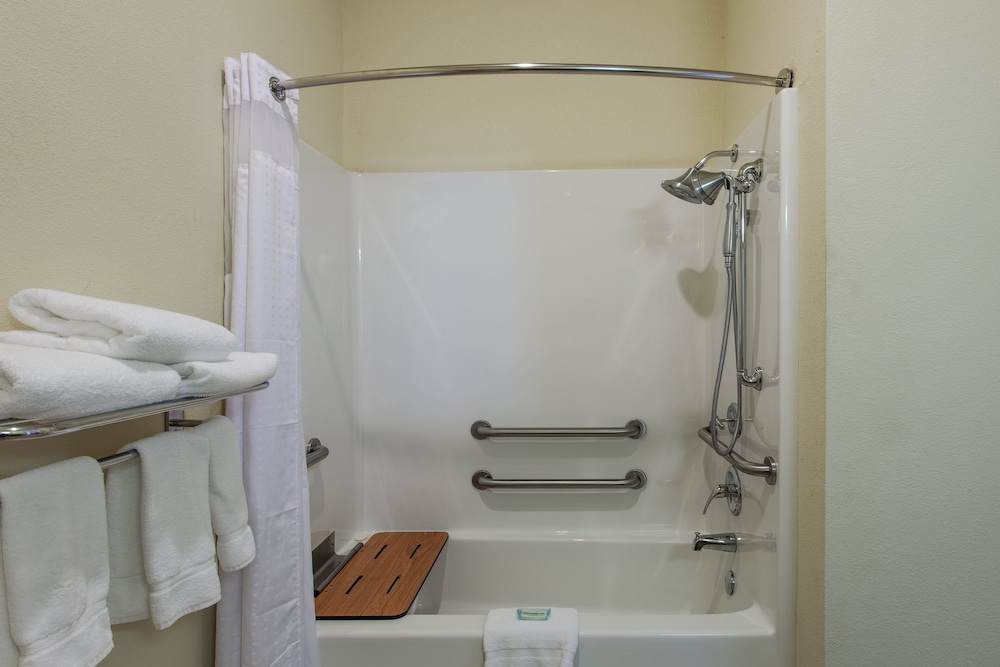 Suite, Accessible (Transfer Shower) - Photo 4