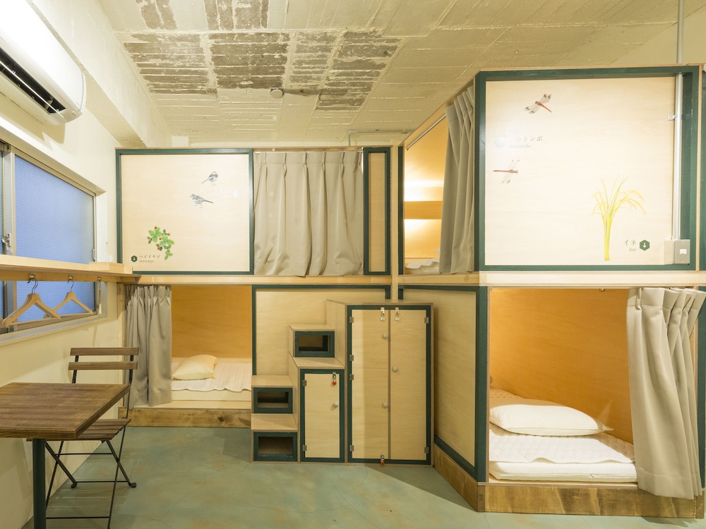 Shared Dormitory, Mixed Dorm photo 1
