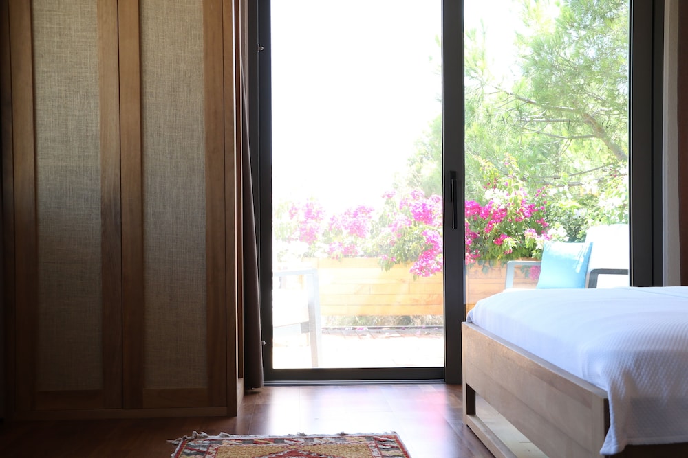 Luxury Room 110