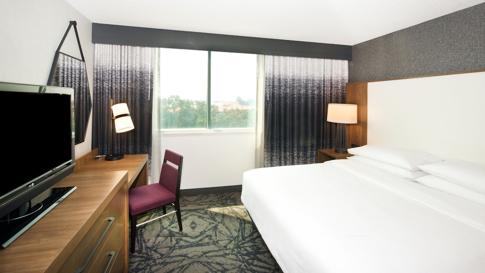 Suite, 1 King Bed, Allergy Friendly - Photo 1