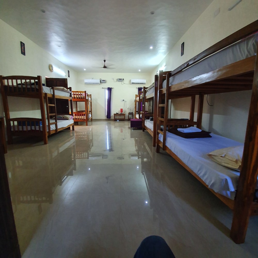 Comfort Shared Dormitory photo 1