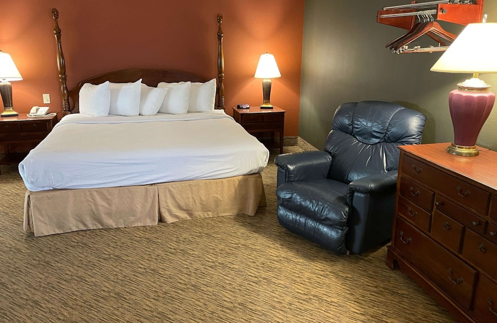 Suite, 1 King Bed, Non Smoking, Refrigerator & Microwave photo 1