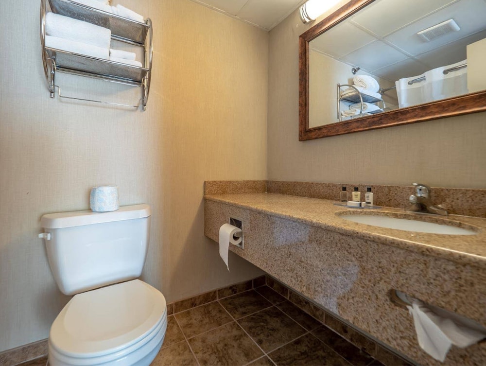 Standard Room, 1 King Bed (Limited View, No Balcony) photo 2