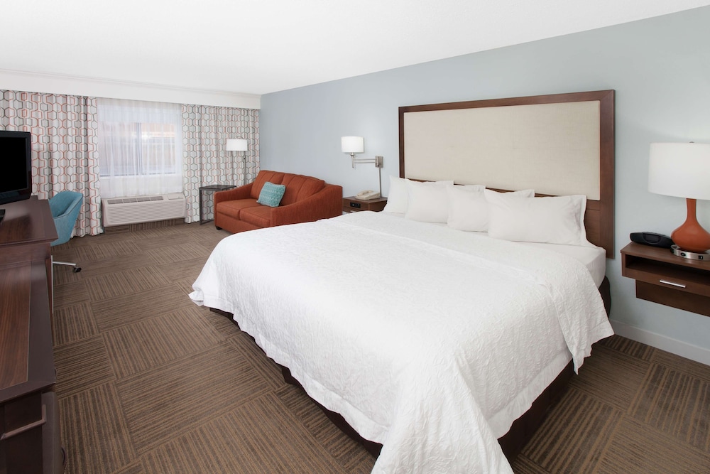 Room, 1 King Bed with Sofa bed, Non Smoking - Photo 3