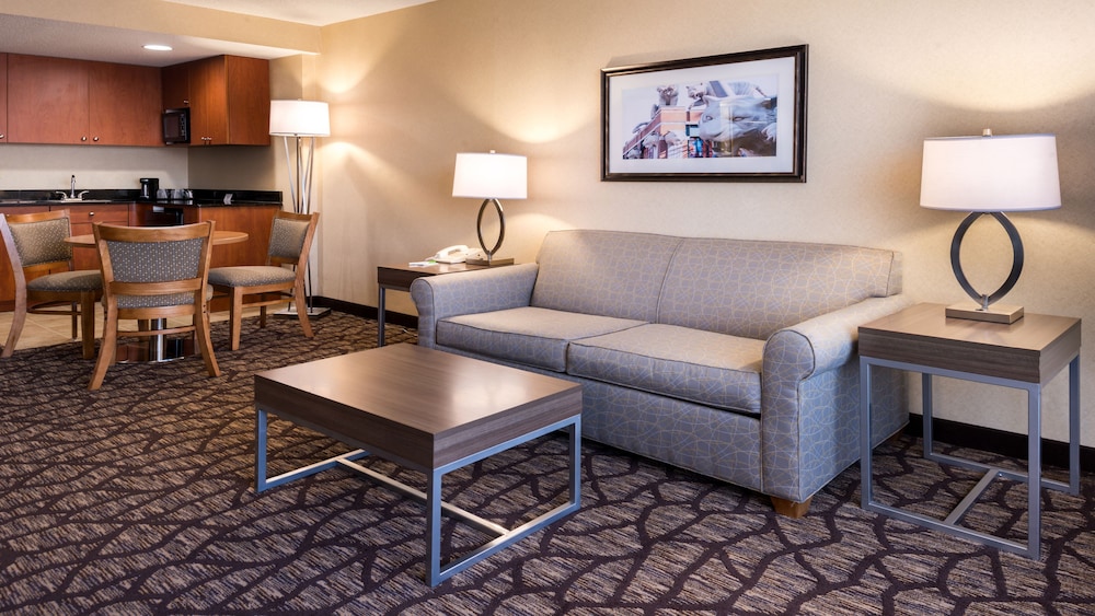 Suite, 1 King Bed - Photo 1