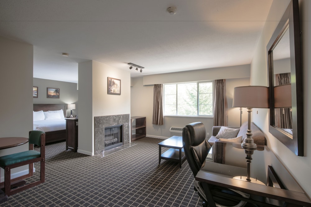 Deluxe Suite, 1 King Bed with Sofa bed, Kitchenette, Park View