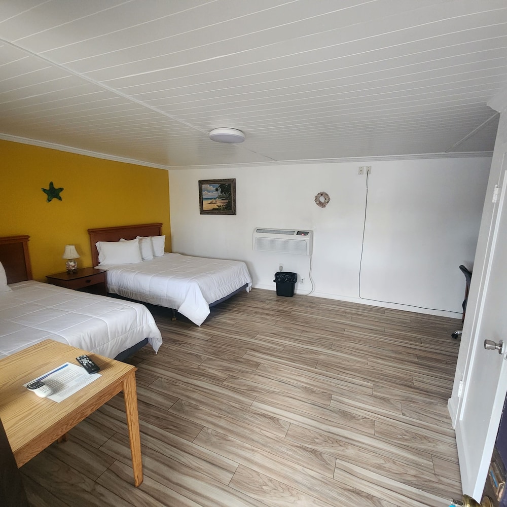 Rose's Motel, Foto 10