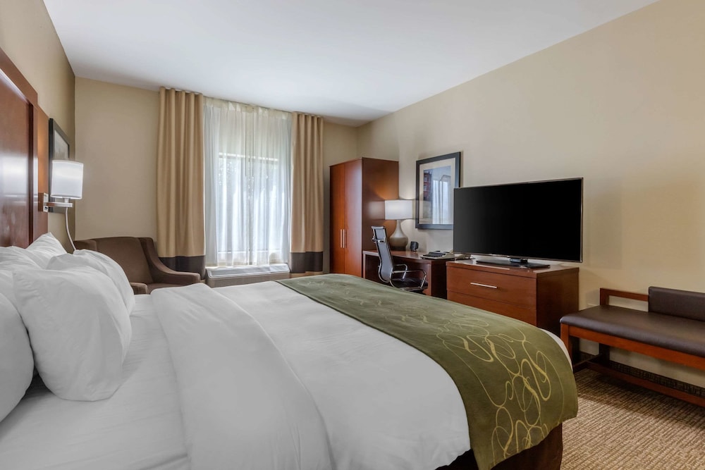 Suite, 1 King Bed, Non Smoking - Photo 6