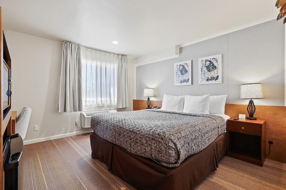 Standard Room, 1 King Bed photo 3