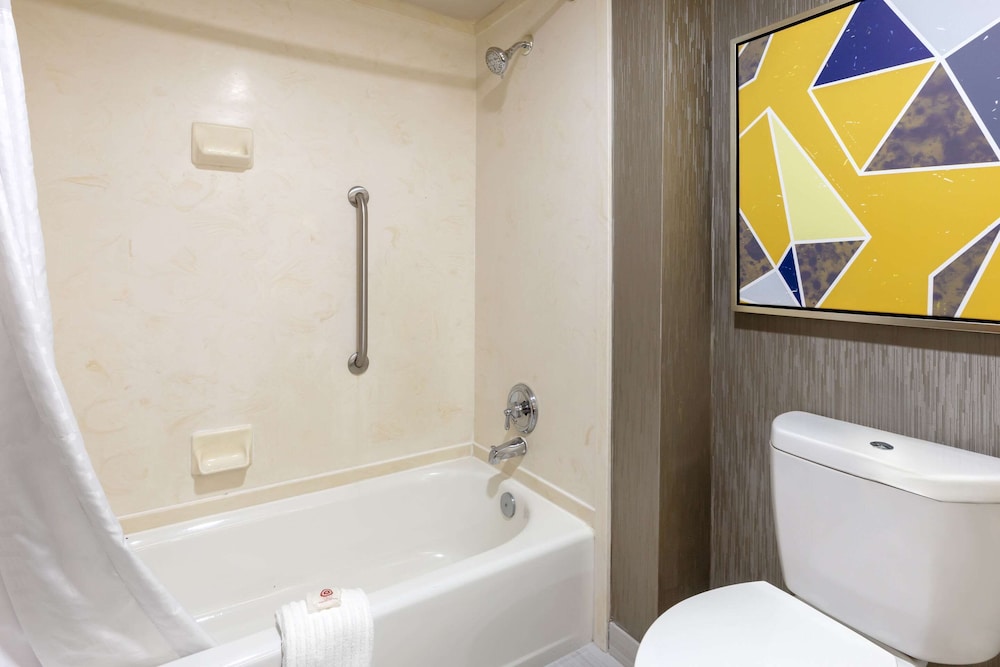 Standard Suite, 1 King Bed, Non Smoking - Photo 14