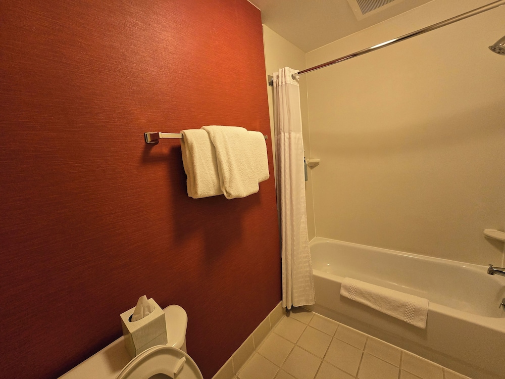 Room, 1 King Bed, Accessible, Non Smoking - Photo 11