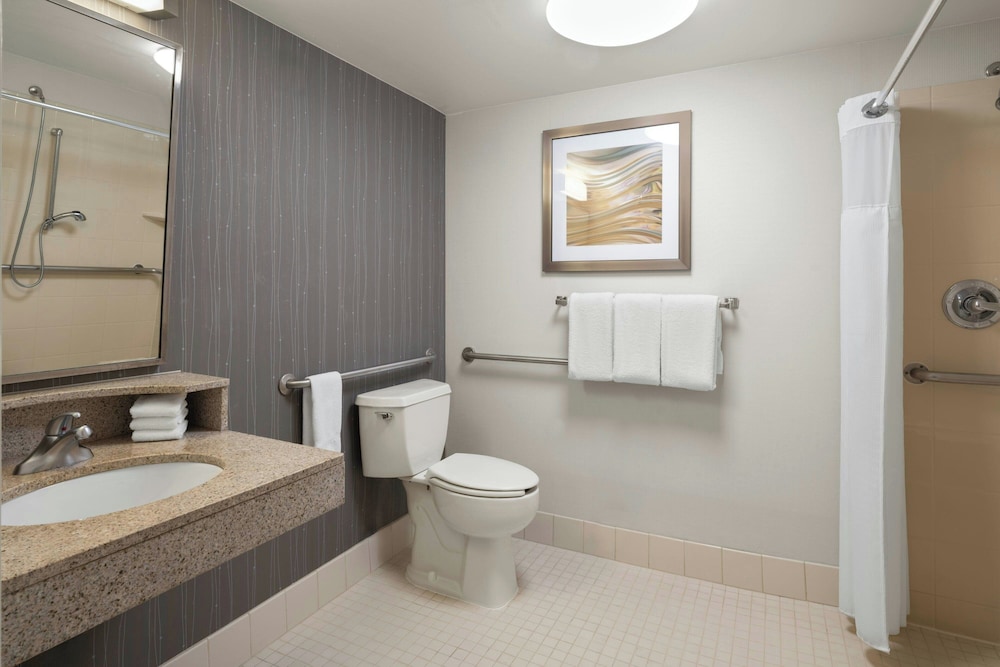 Room, 1 King Bed with Sofa bed (Mobility/Hearing Access, Roll-in Shwr) - Photo 5