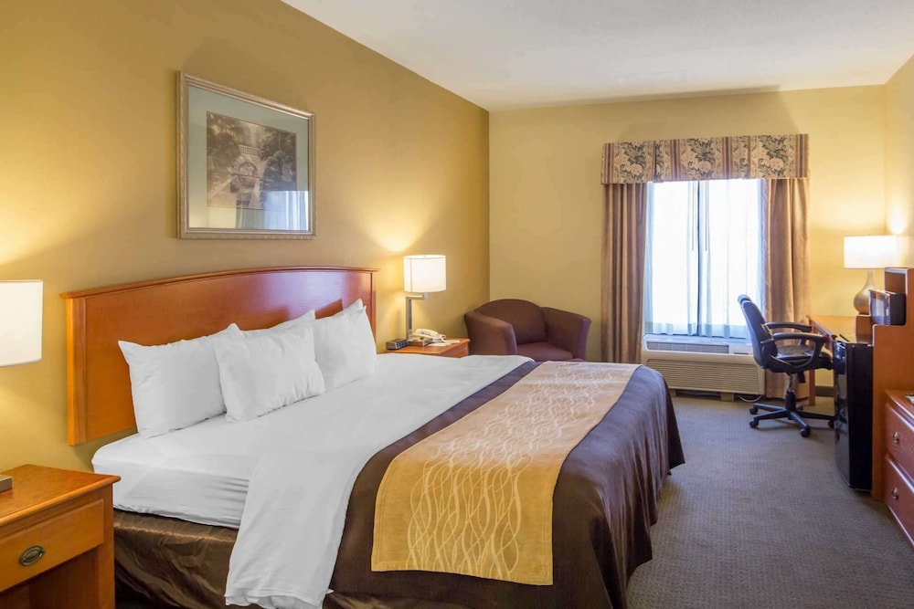 Standard Room, 1 King Bed, Non Smoking - Photo 1
