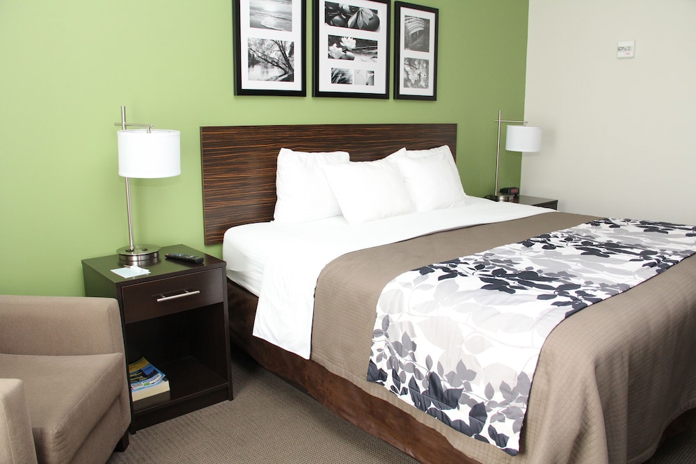 Standard Room, 1 King Bed, Non Smoking - Photo 1