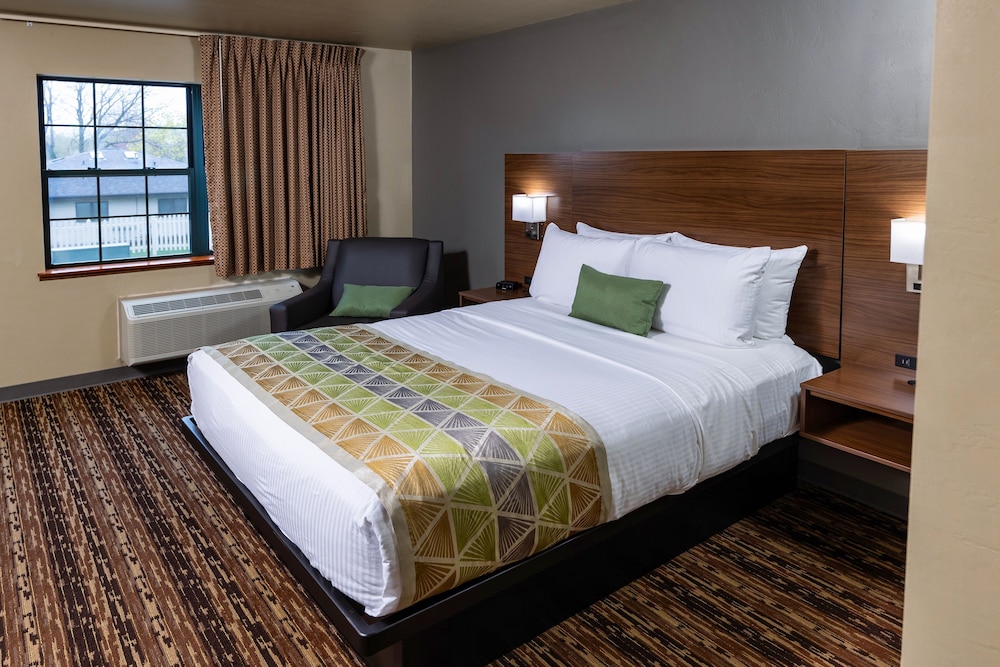Room, 1 Queen Bed, Accessible photo 1