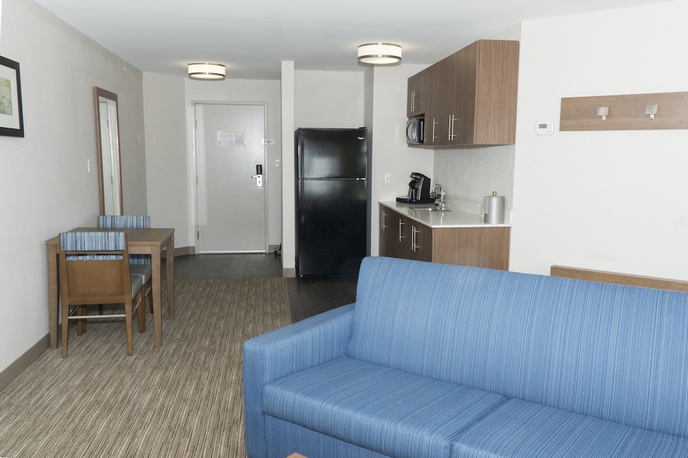 Suite, 1 King Bed