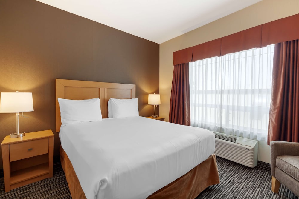 Standard Room, 1 Queen Bed, Non Smoking, Refrigerator - Photo 3
