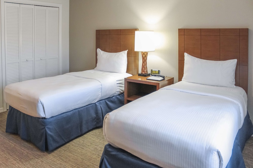 Room, 1 King Bed, Accessible (Mobility & Hearing, Roll-in Shower) - Photo 5