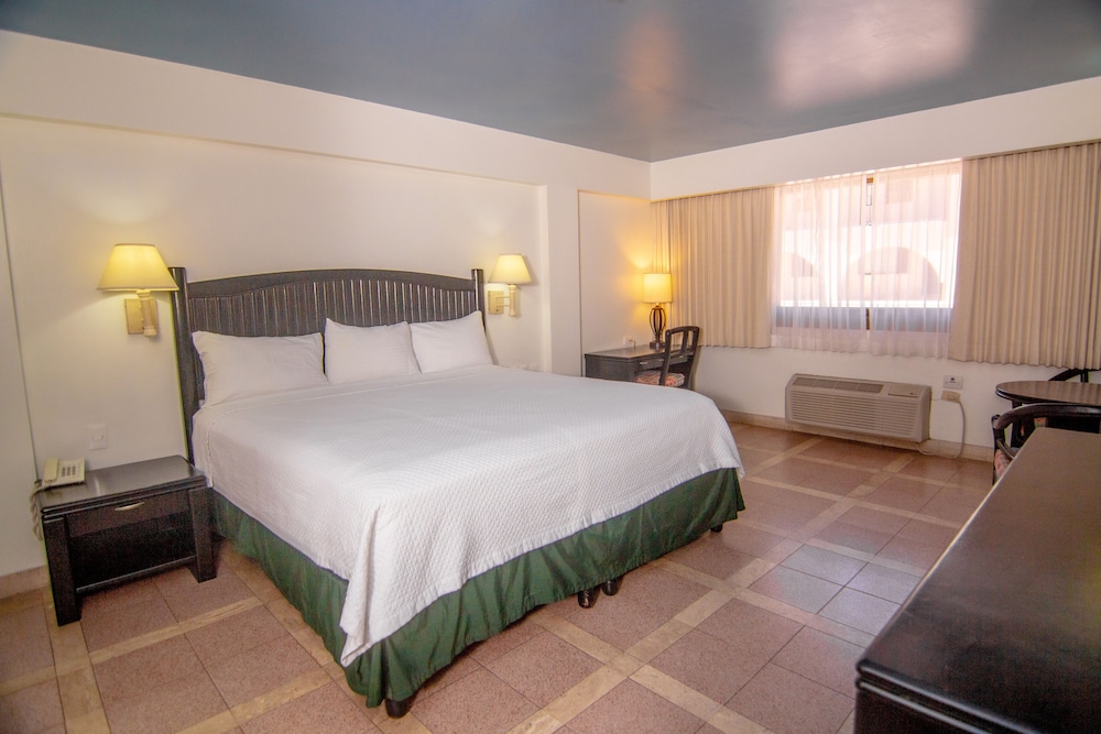 Executive Single Room, 1 King Bed photo 1
