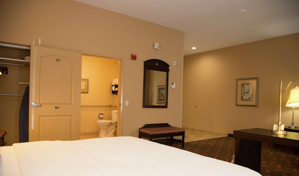 Suite, 1 King Bed, Accessible, Non Smoking - Photo 2
