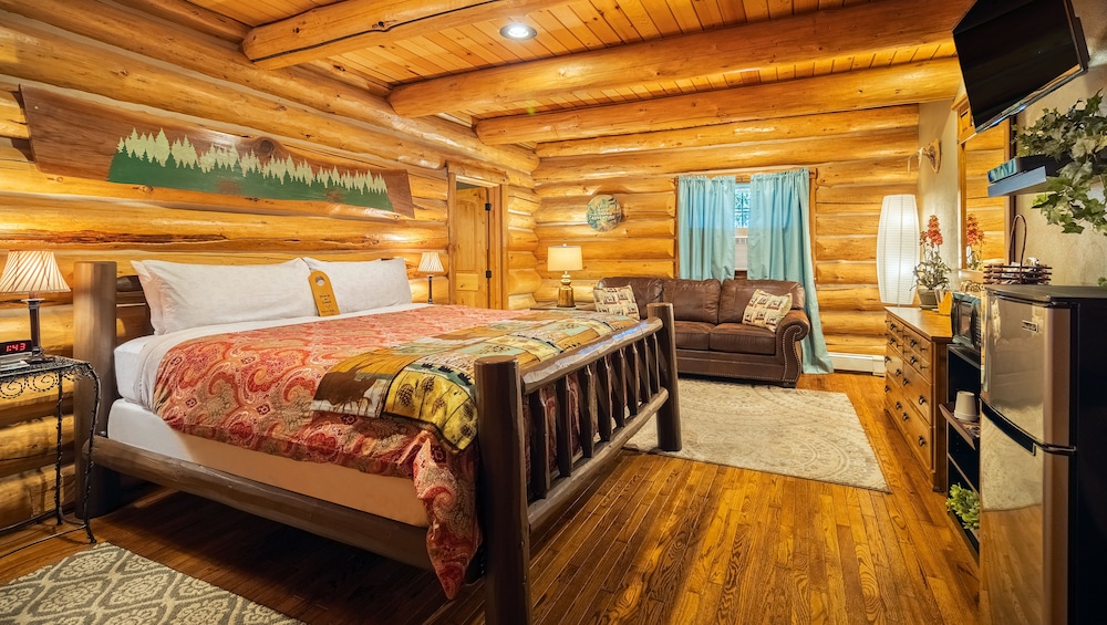 Room, 1 King Bed With Sofa Bed, Non Smoking, Refrigerator & Microwave