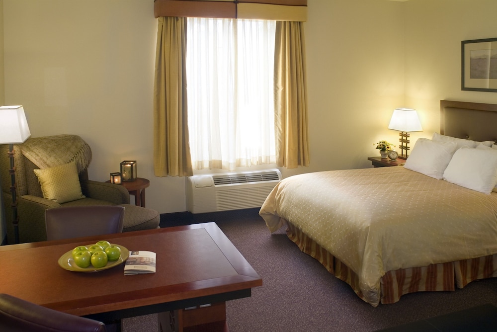 Studio Suite - Photo 3