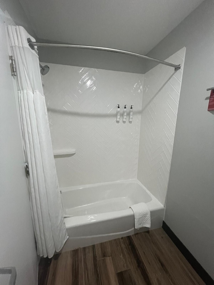 Suite, 1 Bedroom - Photo 3