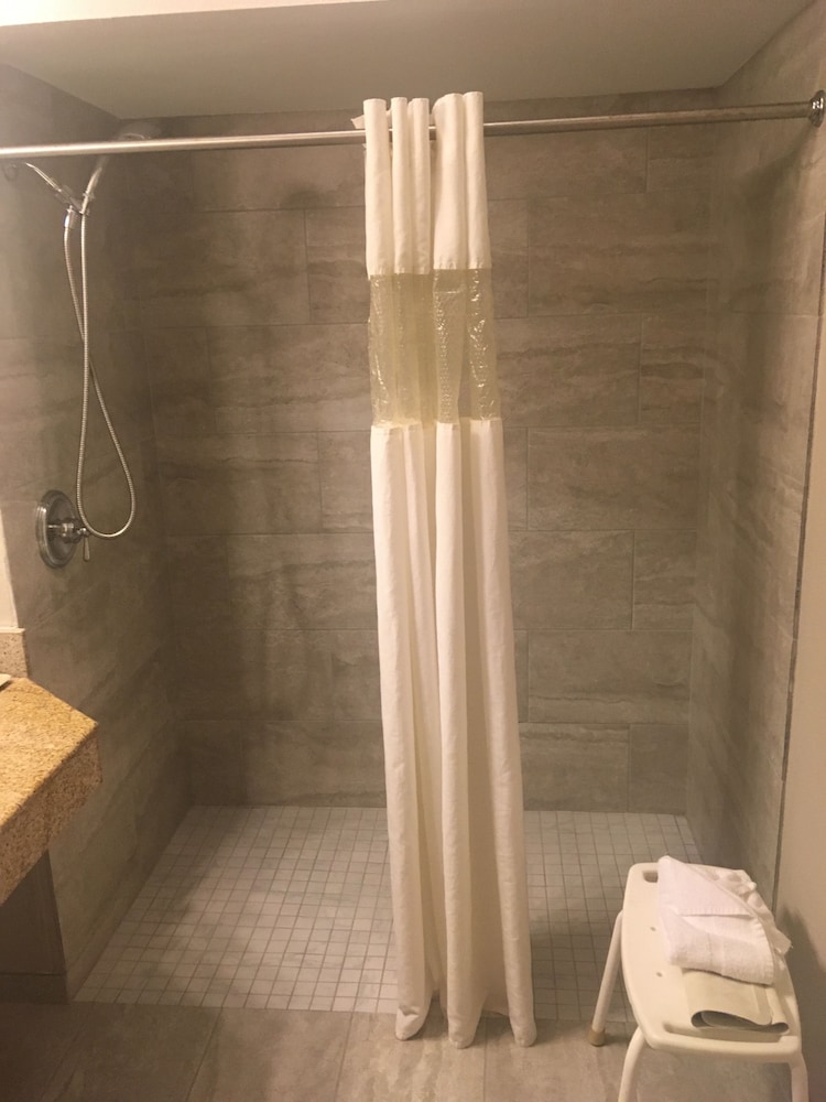 Room, 1 King Bed, Accessible, Non Smoking (Tub with Grab Bars) - Photo 3