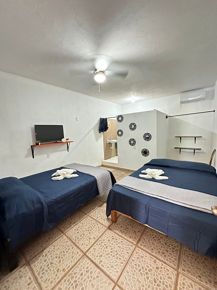 Economy Twin Room photo 1
