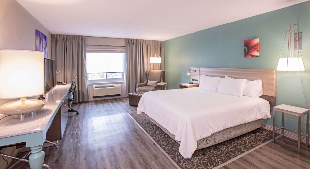 Standard Room, 1 King Bed, Accessible (Roll-in Shower) - Photo 1