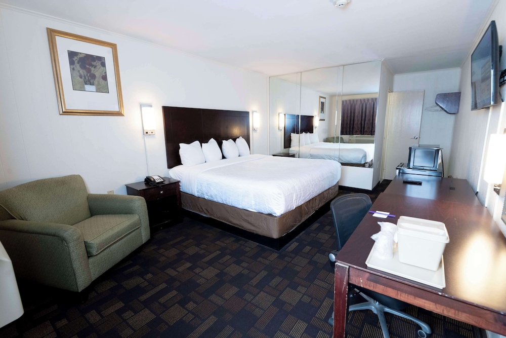 Room, 1 King Bed