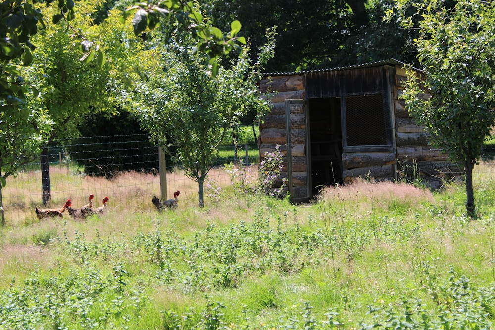 Ecogîte Rural La Clé des Champs, Billede 17