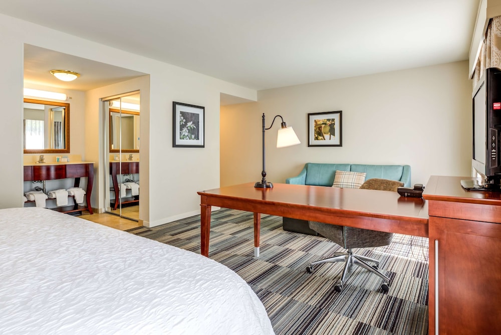 Studio, 1 King Bed with Sofa bed, Accessible (Hearing) - Photo 2