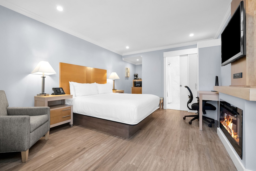 Deluxe Single Room, 1 King Bed - Photo 1