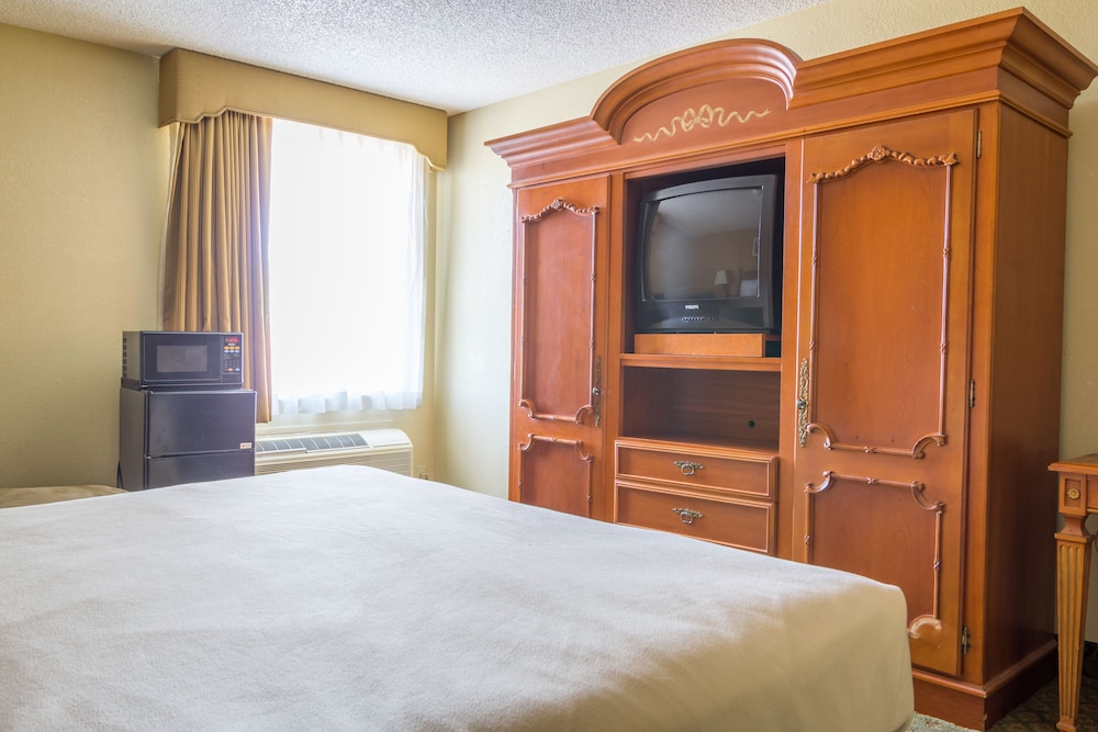 Basic Single Room, photo 7